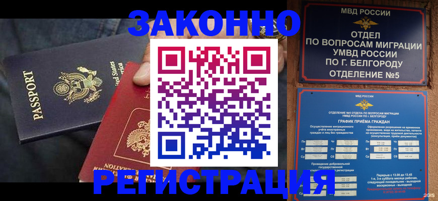 прописка законно в Щёлково